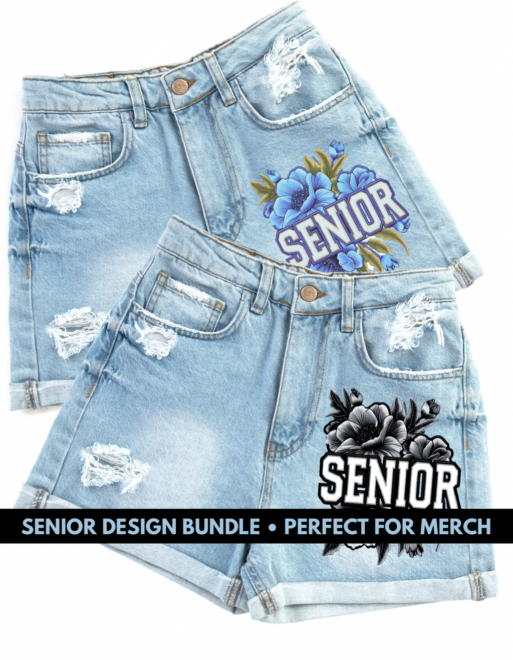 Senior Design Bundle