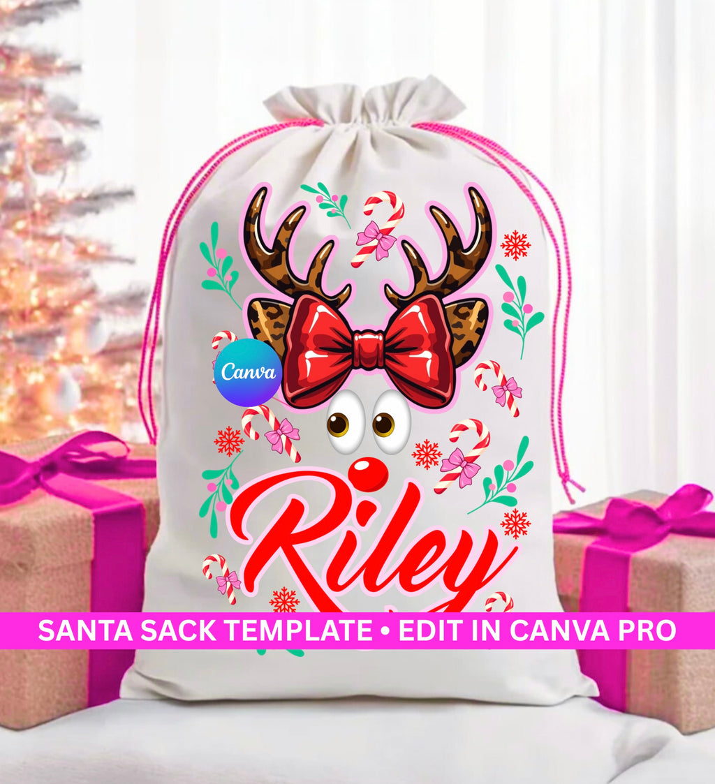 Santa Sack Bundle